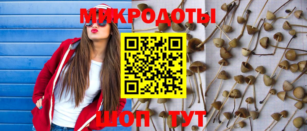 Псилоцибиновые грибы MAGIC MUSHROOMS  Вход с VPN  Галлюциногенные грибы Cubensis  Балашиха 